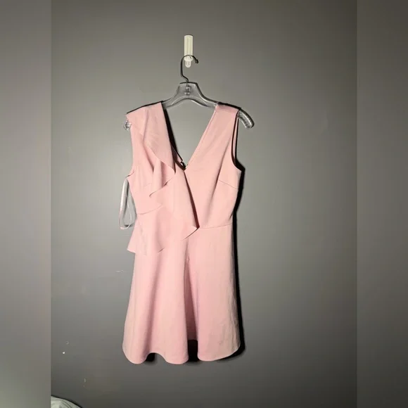 Ted Baker London Lantaa Ruffle Detail Skater Dress Size 6 - Picture 2 of 5